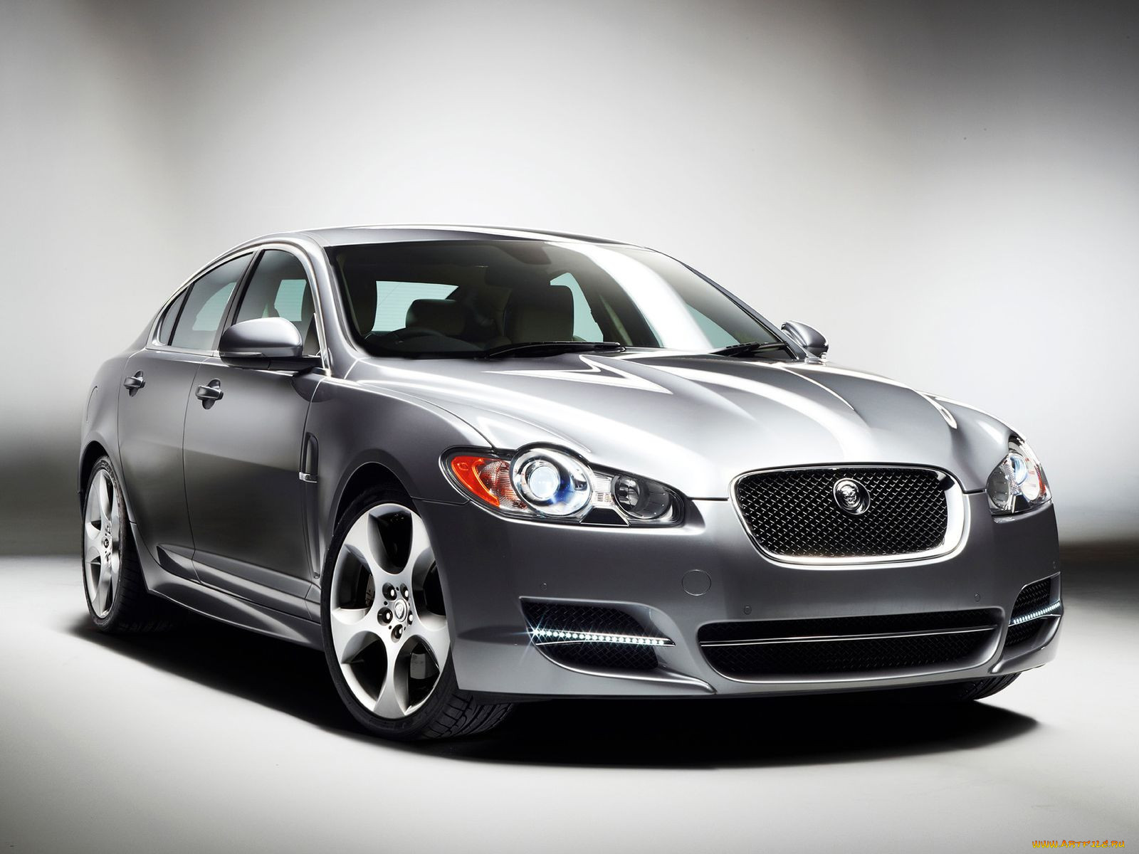 , jaguar
